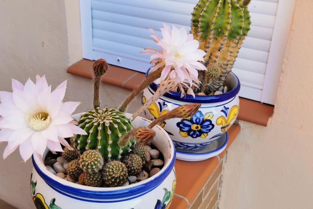 Benissanet Casa Bretalunyaヴィラ エクステリア 写真